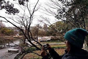 NAGOYA - Parc Tokugawa - 10.01.2024 - 14
